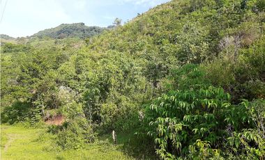 Venta Lotes Fredonia suroeste antioqueño