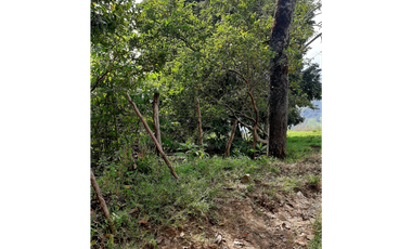 Venta Lotes Fredonia suroeste antioqueño
