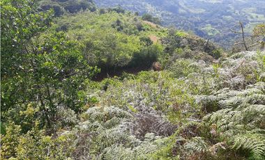 Venta Lotes Fredonia suroeste antioqueño