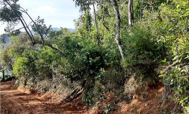 Venta Lotes Fredonia suroeste antioqueño