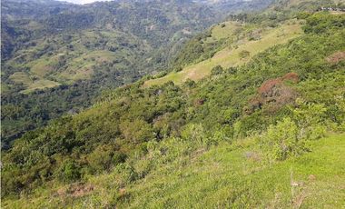 Venta Lotes Fredonia suroeste antioqueño