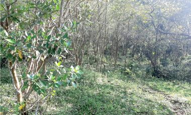 Venta Lotes Fredonia suroeste antioqueño