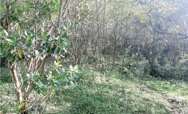 Venta Lotes Fredonia suroeste antioqueño