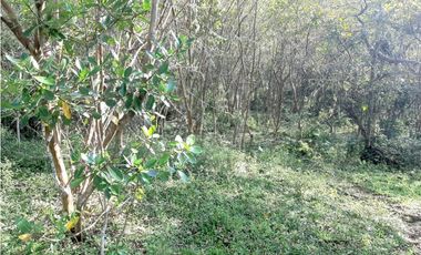 Venta Lotes Fredonia suroeste antioqueño