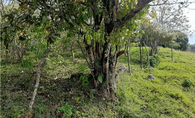 Venta Lotes Fredonia suroeste antioqueño