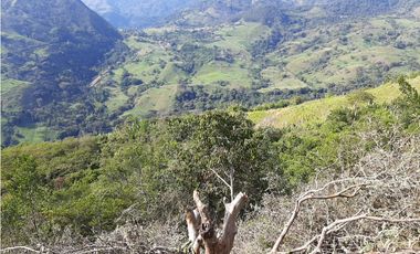 Venta Lotes Fredonia suroeste antioqueño