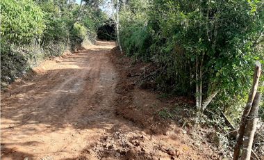 Venta Lotes Fredonia suroeste antioqueño
