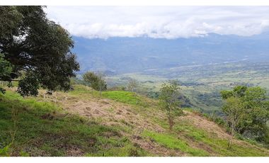 Venta Lotes Fredonia suroeste antioqueño