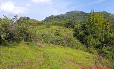Venta Lotes Fredonia suroeste antioqueño