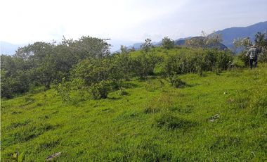 Venta Lotes Fredonia suroeste antioqueño