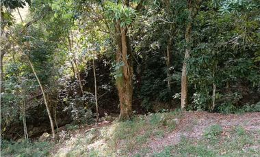 Venta finca en Santa Bárbara Poblanco en el suroeste antioqueña