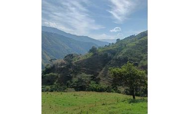 Venta finca en Santa Bárbara Poblanco en el suroeste antioqueña