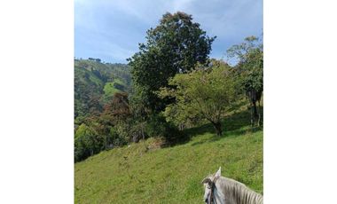 Venta finca en Santa Bárbara Poblanco en el suroeste antioqueña