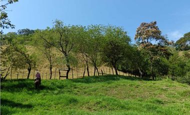 Venta finca en Santa Bárbara Poblanco en el suroeste antioqueña