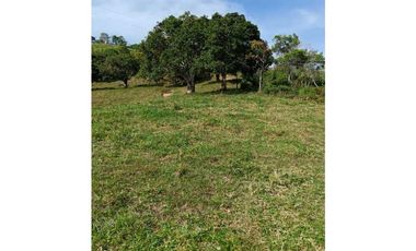 Venta finca en Santa Bárbara Poblanco en el suroeste antioqueña