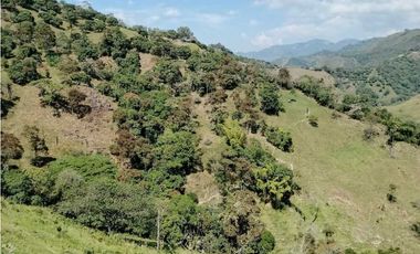 Venta finca en Santa Bárbara Poblanco en el suroeste antioqueña