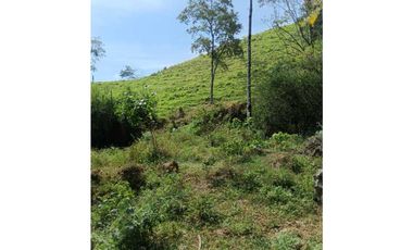 Venta finca en Santa Bárbara Poblanco en el suroeste antioqueña