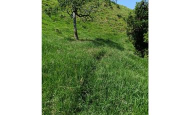 Venta finca en Santa Bárbara Poblanco en el suroeste antioqueña