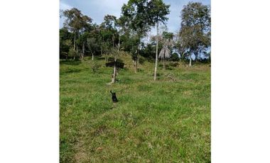 Venta finca en Santa Bárbara Poblanco en el suroeste antioqueña