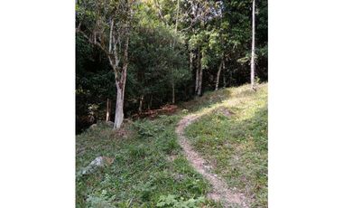 Venta finca en Santa Bárbara Poblanco en el suroeste antioqueña