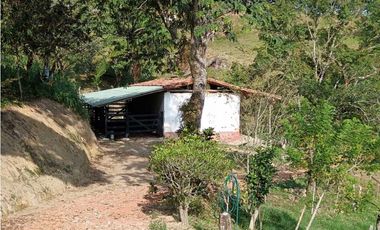 Venta finca en Santa Bárbara Poblanco en el suroeste antioqueña