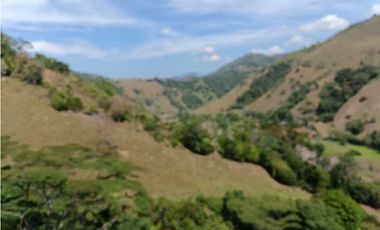 Venta finca en Santa Bárbara Poblanco en el suroeste antioqueña