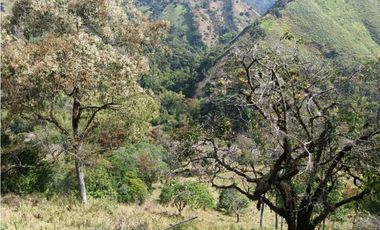 Venta finca en Santa Bárbara Poblanco en el suroeste antioqueña
