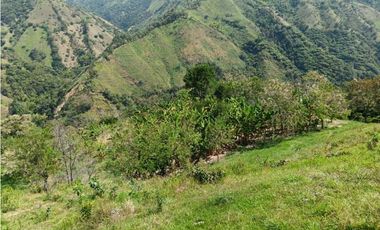 Venta finca en Santa Bárbara Poblanco en el suroeste antioqueña