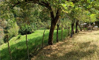 Venta finca en Santa Bárbara Poblanco en el suroeste antioqueña