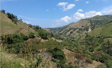 Venta finca en Santa Bárbara Poblanco en el suroeste antioqueña
