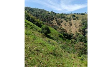 Venta finca en Santa Bárbara Poblanco en el suroeste antioqueña