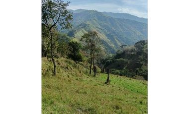 Venta finca en Santa Bárbara Poblanco en el suroeste antioqueña