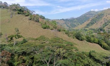Venta finca en Santa Bárbara Poblanco en el suroeste antioqueña