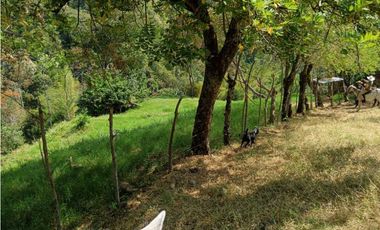 Venta finca en Santa Bárbara Poblanco en el suroeste antioqueña
