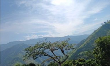 Venta finca en Santa Bárbara Poblanco en el suroeste antioqueña