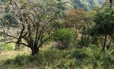 Venta finca en Santa Bárbara Poblanco en el suroeste antioqueña
