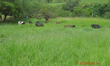 Venta finca en Sta. Barbara, Poblanco, Suroeste antioqueño