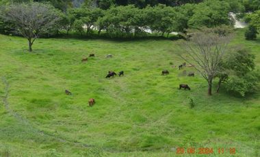 Venta finca en Sta. Barbara, Poblanco, Suroeste antioqueño
