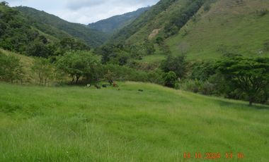 Venta finca en Sta. Barbara, Poblanco, Suroeste antioqueño