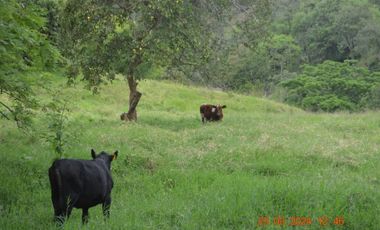 Venta finca en Sta. Barbara, Poblanco, Suroeste antioqueño