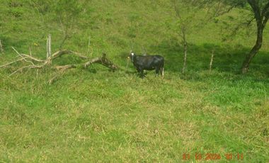 Venta finca en Sta. Barbara, Poblanco, Suroeste antioqueño