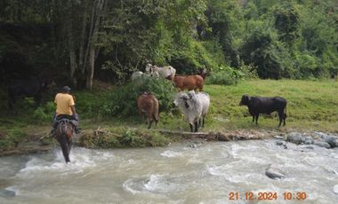 Venta finca en Sta. Barbara, Poblanco, Suroeste antioqueño