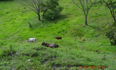 Venta finca en Sta. Barbara, Poblanco, Suroeste antioqueño