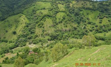 Venta finca en Sta. Barbara, Poblanco, Suroeste antioqueño