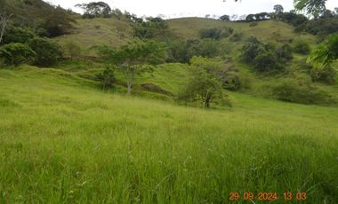 Venta finca en Sta. Barbara, Poblanco, Suroeste antioqueño