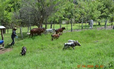 Venta finca en Sta. Barbara, Poblanco, Suroeste antioqueño