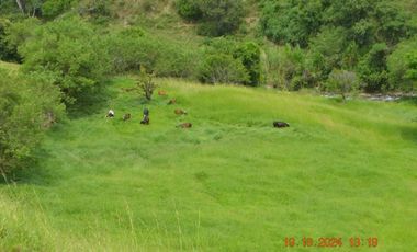Venta finca en Sta. Barbara, Poblanco, Suroeste antioqueño