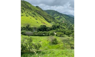 Venta finca en Sta. Barbara, Poblanco, Suroeste antioqueño