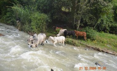 Venta finca en Sta. Barbara, Poblanco, Suroeste antioqueño