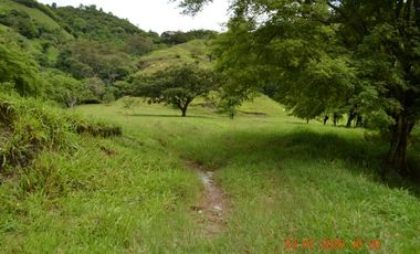 Venta finca en Sta. Barbara, Poblanco, Suroeste antioqueño